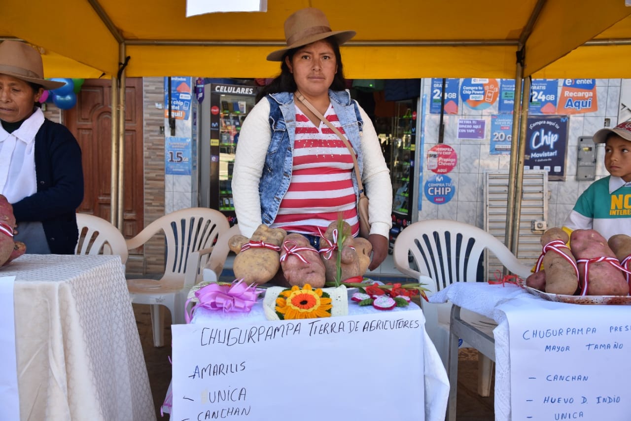 La Libertad: Julcán se prepara para la “I Feria Agroeducativa de la Papa"