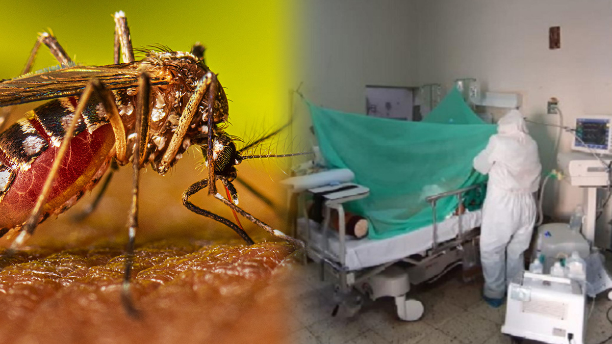 Minsa designa Altos Comisionados para enfrentar el dengue, uno de ellos con cuestionamientos