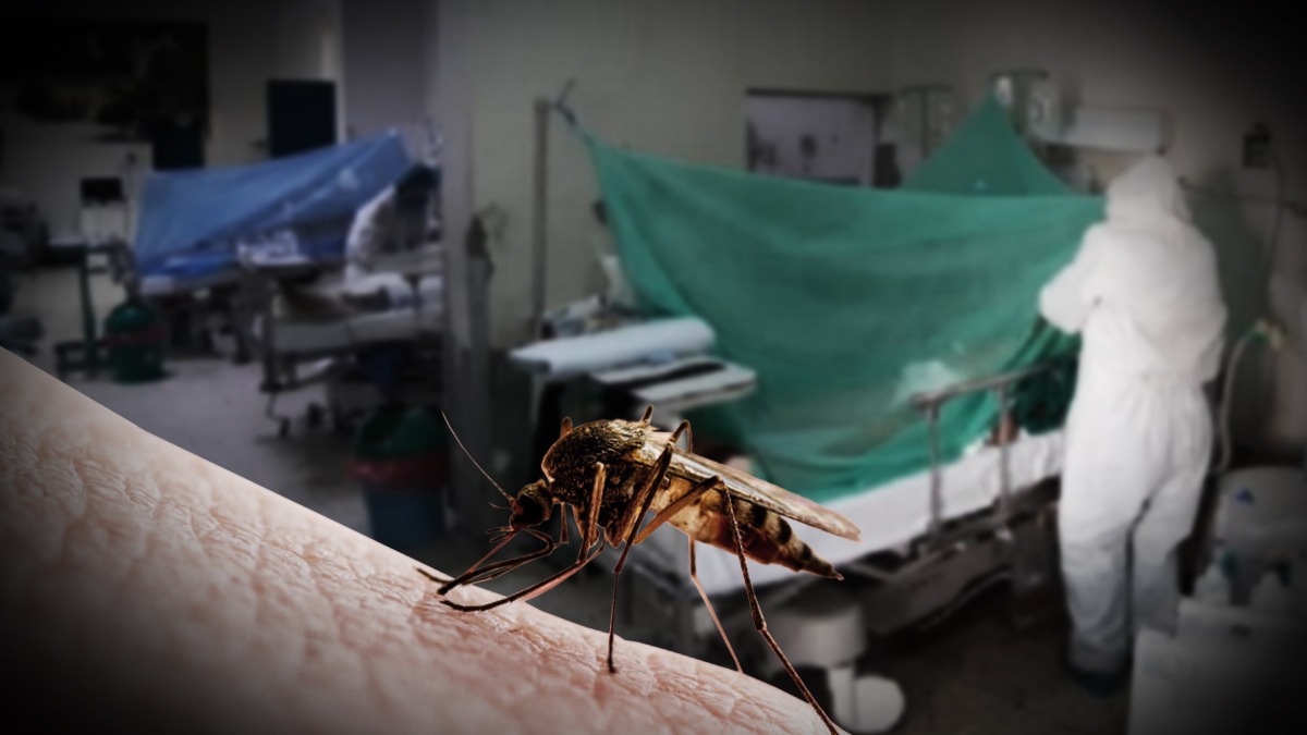 El norte del Perú sigue siendo el caldo de cultivo y desborde del dengue