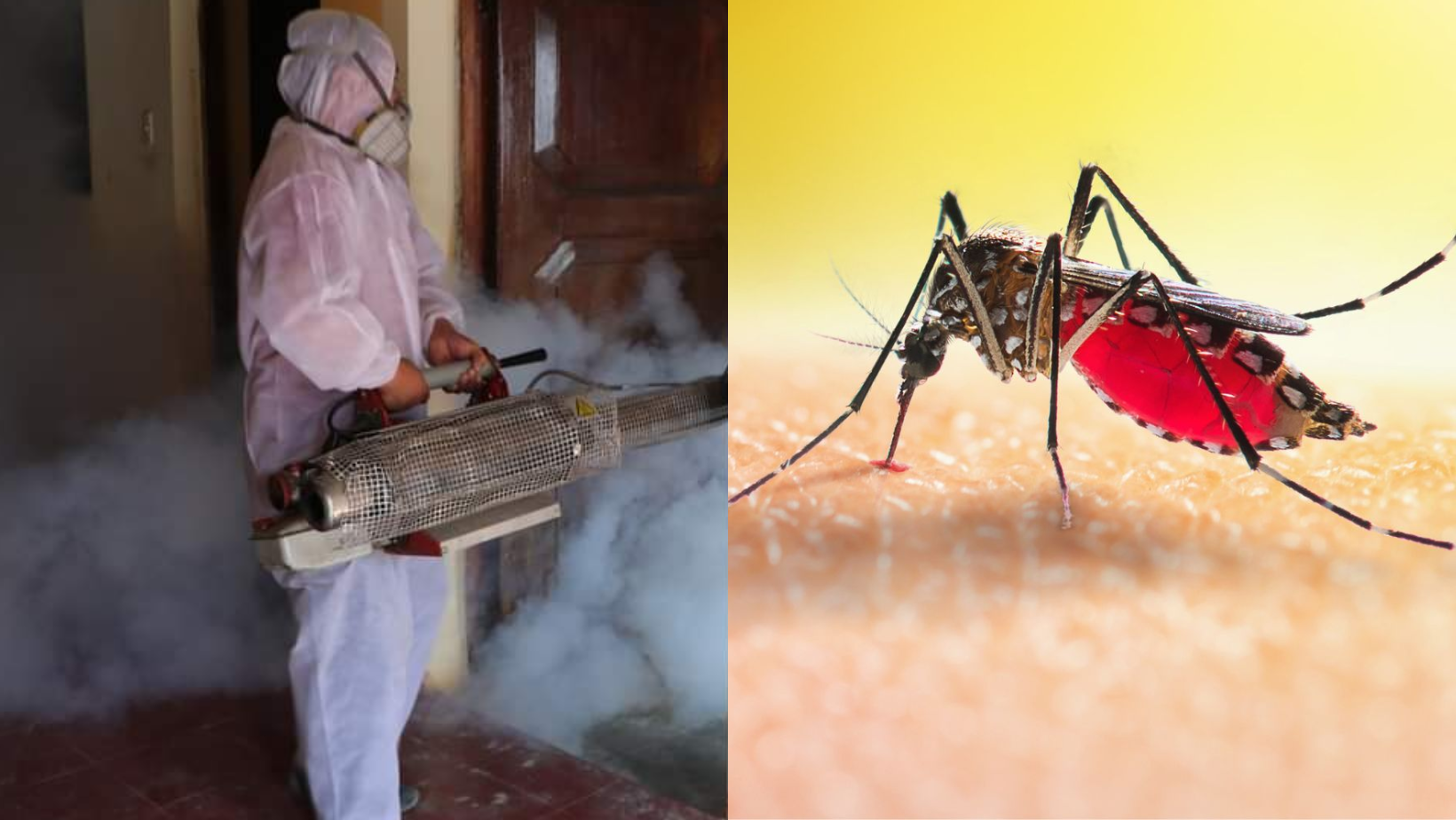 La Libertad: continúan incrementándose los casos de dengue en la región
