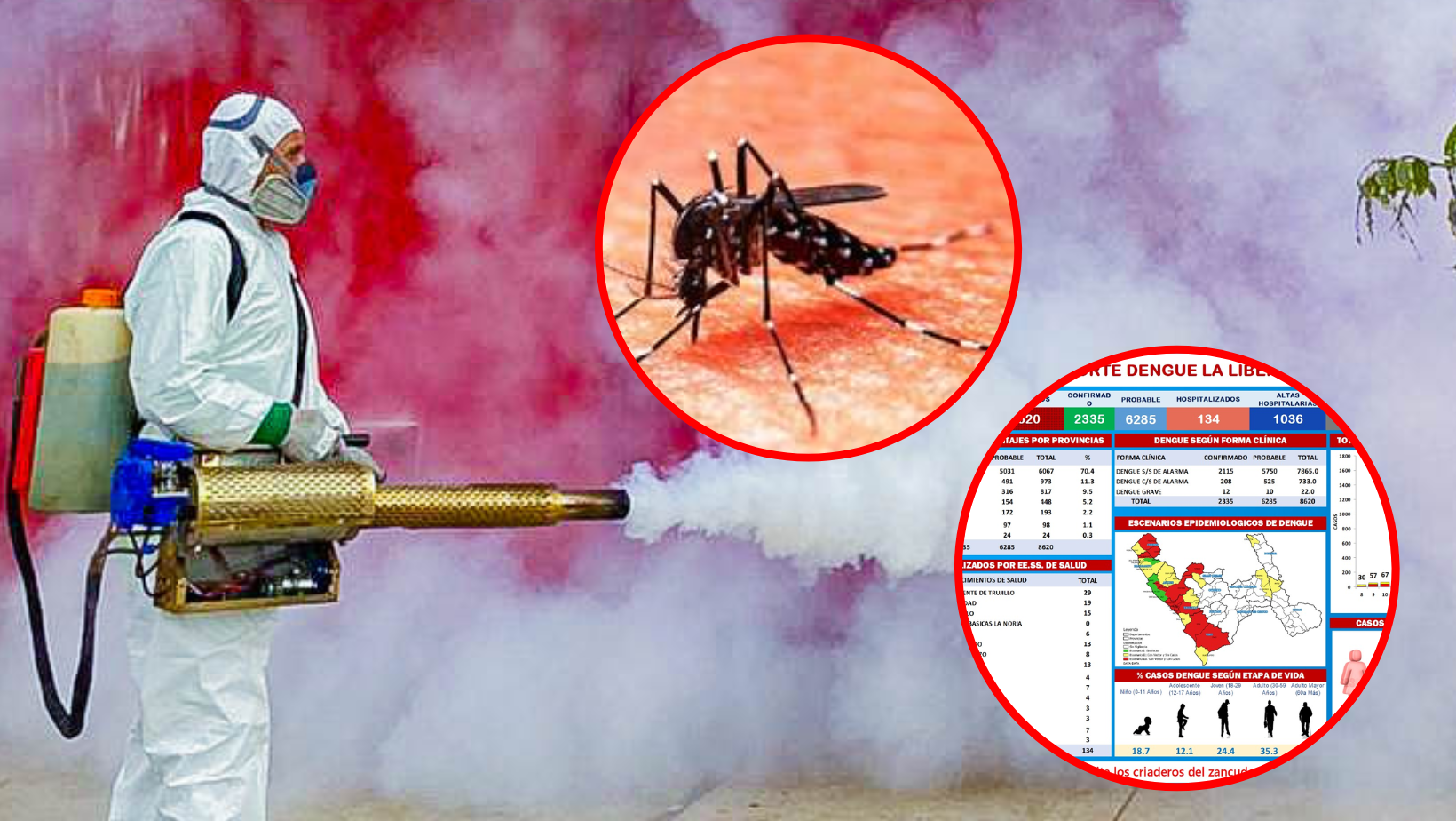 La Libertad: casos confirmados de dengue se elevan a más de 2335