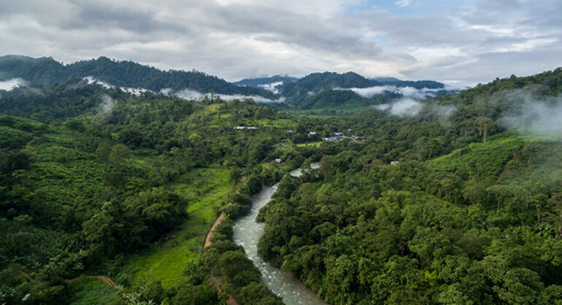 Inician plan de arranque para combatir la deforestación en la Amazonía peruana
