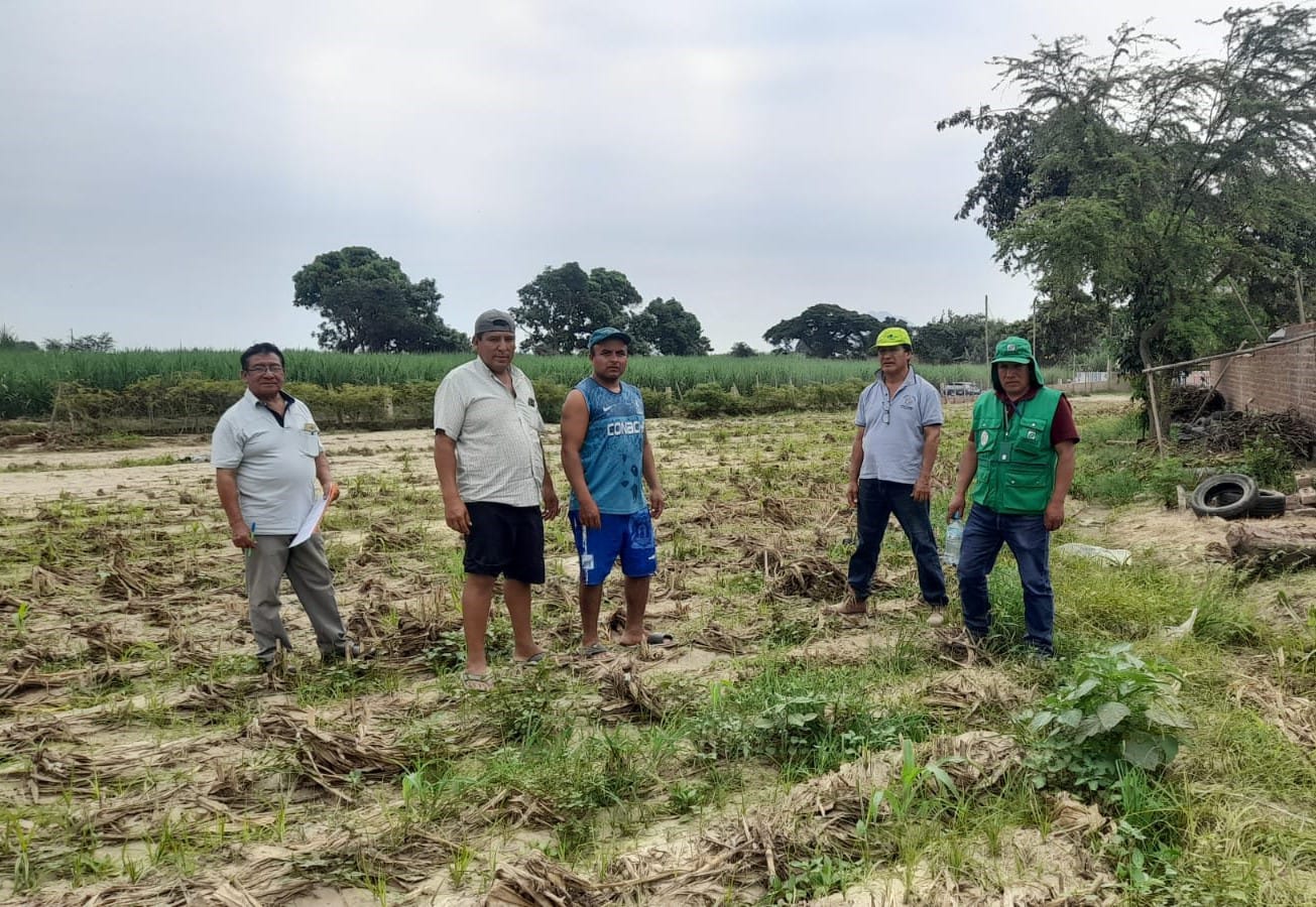 Laredo: Indemnizan a 34 agricultores afectados por lluvias intensas a causa del ciclón Yaku