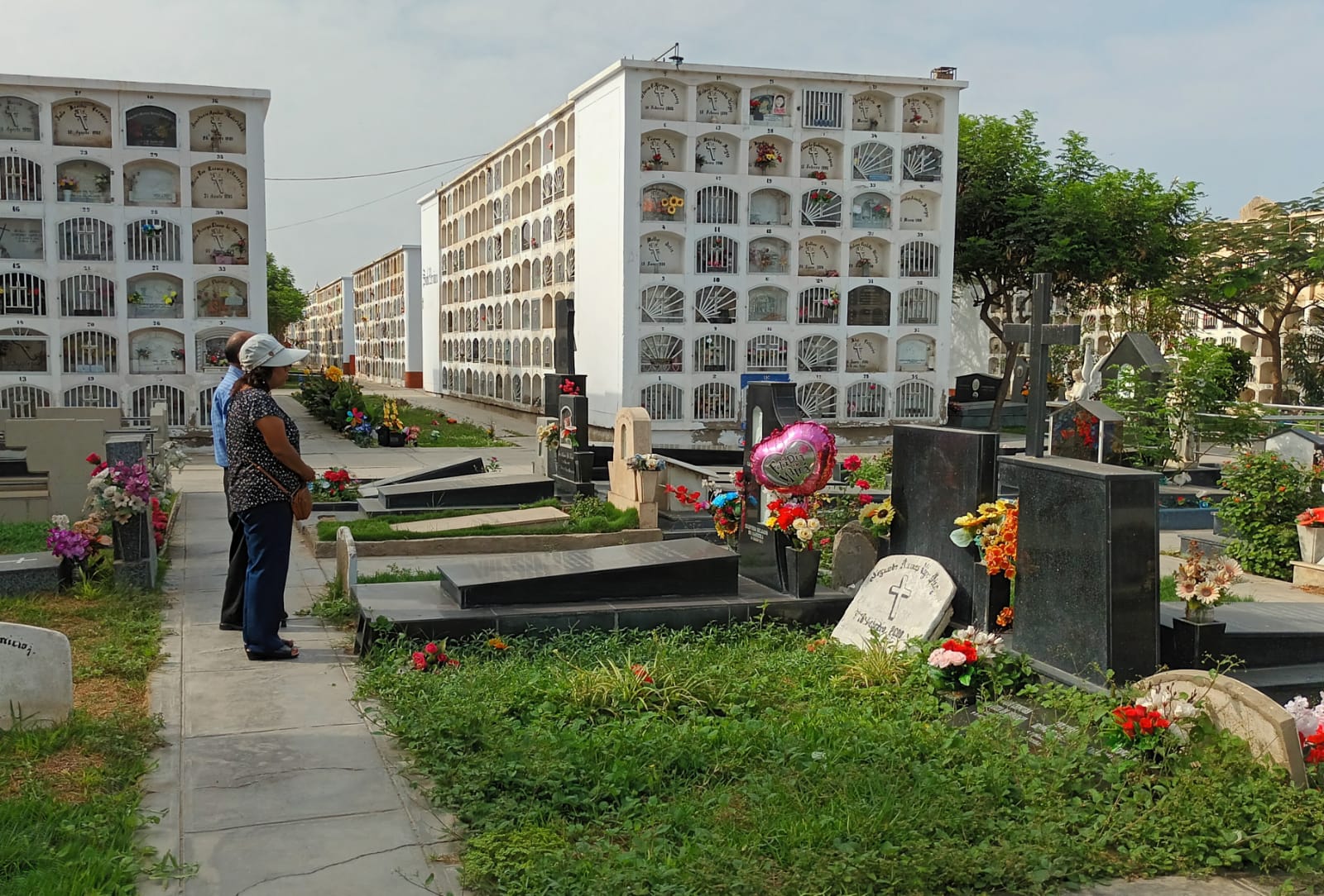 Cementerio Miraflores aplica medidas de prevención ante dengue
