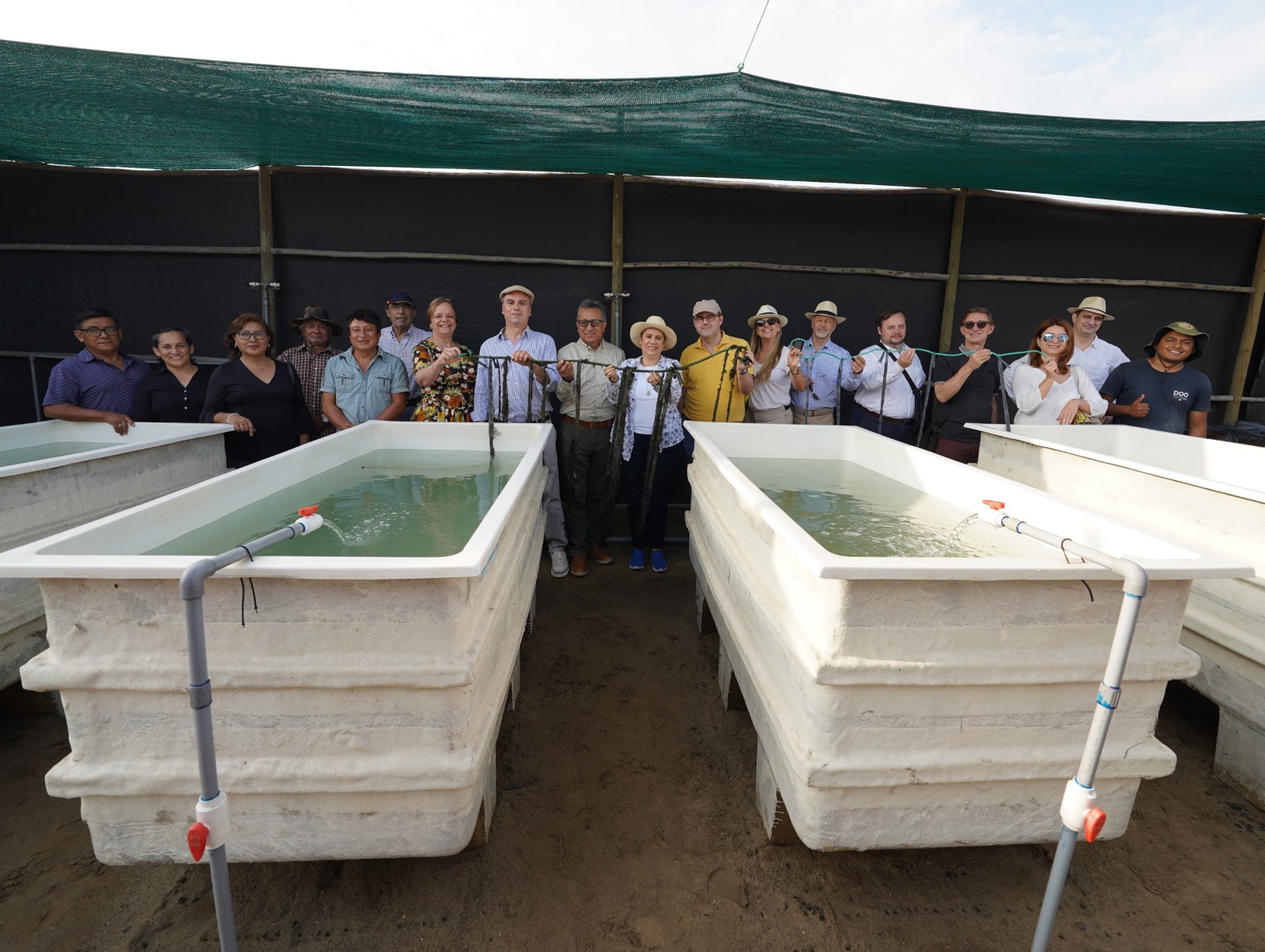 Trujillo: embajadores de la UE visitan planta piloto de cultivo de yuyo en Salaverry