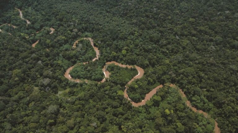 Nuevo ‘paquetazo ambiental’ del Congreso sigue pasando desapercibido