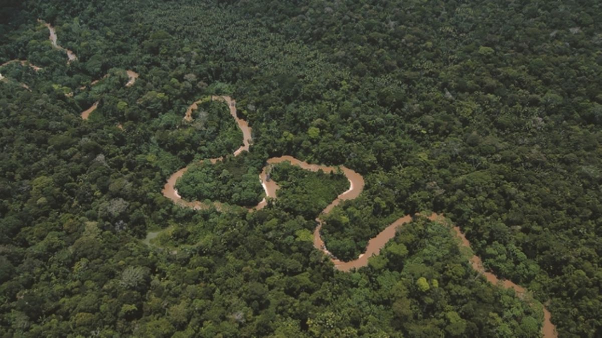 Nuevo ‘paquetazo ambiental’ del Congreso sigue pasando desapercibido