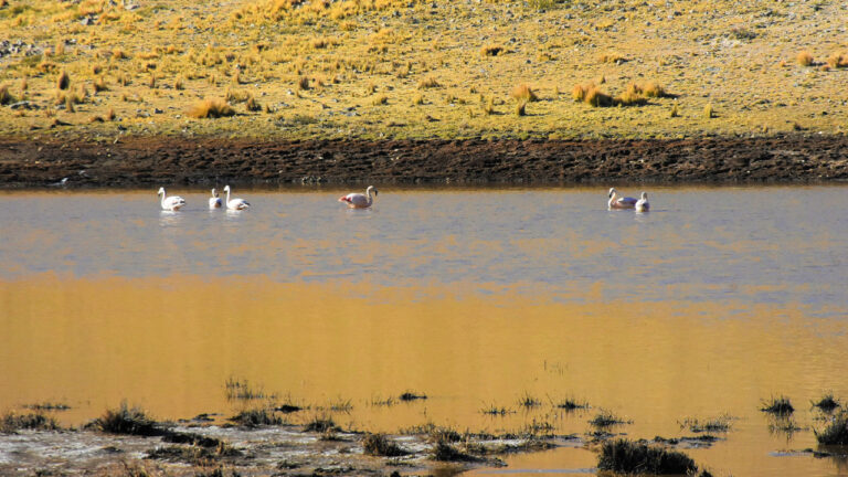 Ayacucho: Escasez de agua ya afecta a los agricultores y a la producción regional