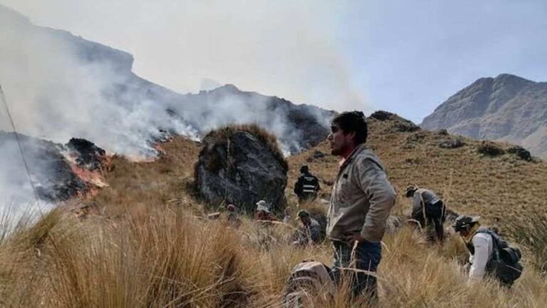 Puno: Más de 80 incendios forestales este año han devastado flora y fauna silvestre
