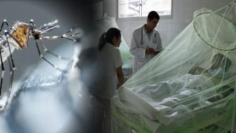 Piura requiere S/ 114 millones para acciones de prevención contra el dengue