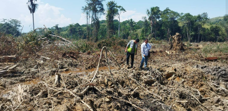 Huánuco: Depredan 10 hectáreas de cobertura vegetal en el distrito de José Crespo y Castillo