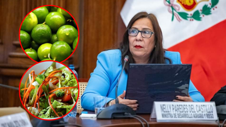 Ministra de Agricultura recomienda utilizar sal y vinagre ante el alza del precio del limón