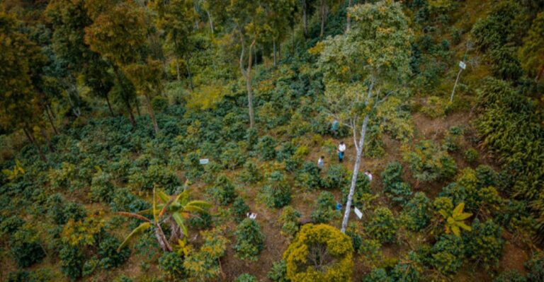 San Martín: Demandan al Estado frenar actividad minera por riesgos de contaminación