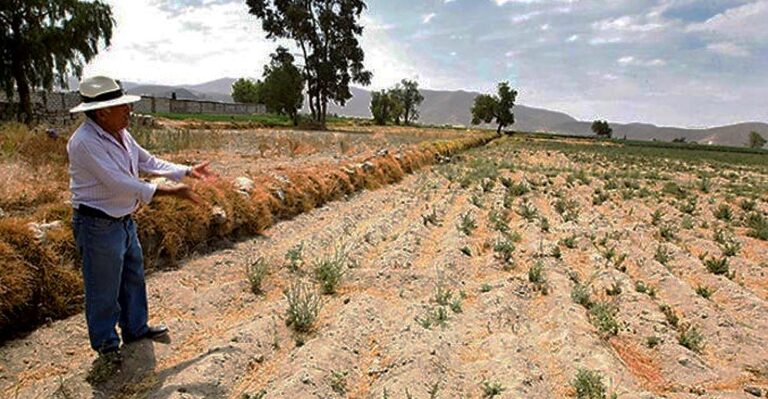 Estas son las provincias en emergencia por peligro de déficit hídrico y Fenómeno de El Niño
