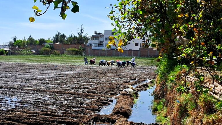 El regreso del Fenómeno El Niño amenaza con una severa escasez de agua y alimentos