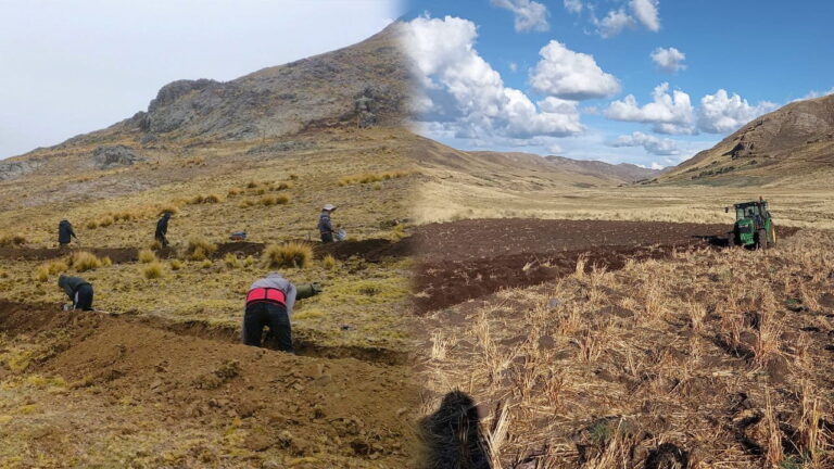 Perú: Más de 8 mil hectáreas afectadas en la actual campaña agrícola por sequías y granizadas