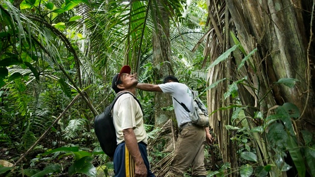Perú: 26 defensores ambientales fueron asesinados en los últimos diez años