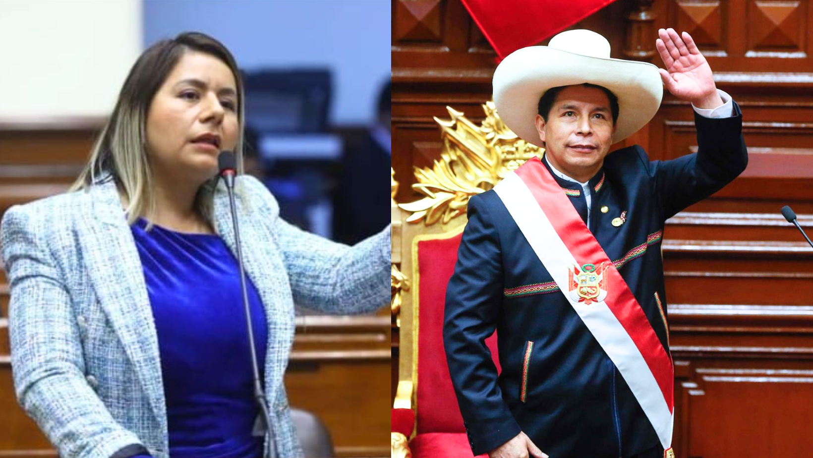 Congresista presenta proyecto para conmemorar el golde de Estado de Pedro Castillo
