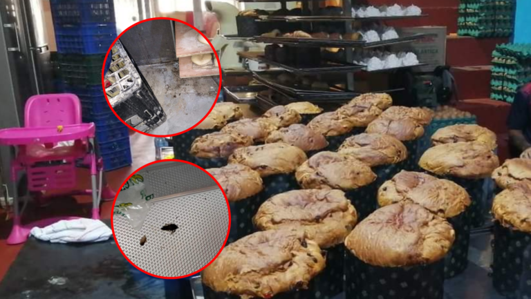 ¡Alerta Navideña! Clausuran panaderías en el centro de Trujillo tras encontrar insectos en la cocina