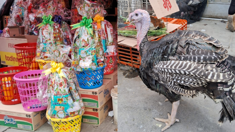 Trujillo: Conoce el precio del pavo y canastas por Navidad y Año Nuevo