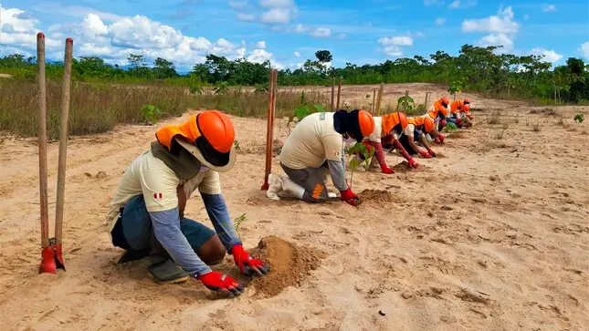Recuperan áreas degradadas ante el cambio climático