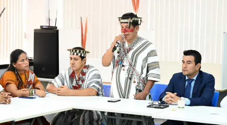 Aprueban plan de trabajo de la Comisión Multisectorial de Selva Central