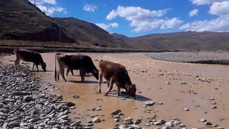 Experto advierte que la minería ilegal está destruyendo el lago Titicaca