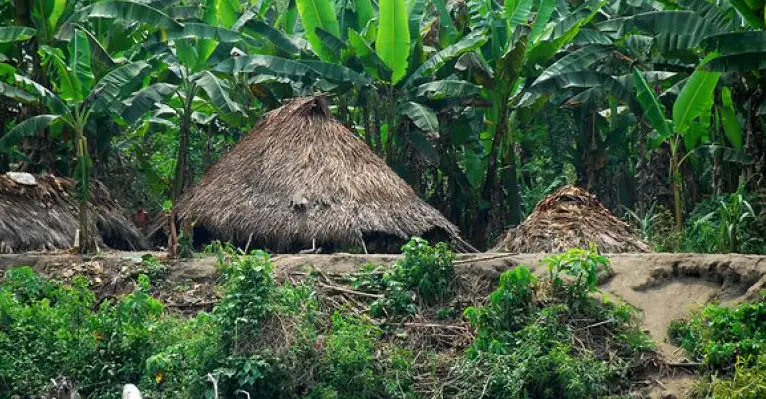 El Perú no tiene sistemas adecuados para evaluar proyectos de vías vecinales en la Amazonía