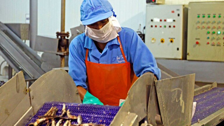 A la baja: Producción nacional disminuyó en el 2023, según INEI