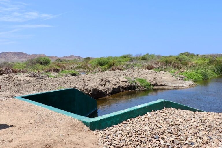 La Libertad: inauguran sistema de drenaje agrícola en Chepén
