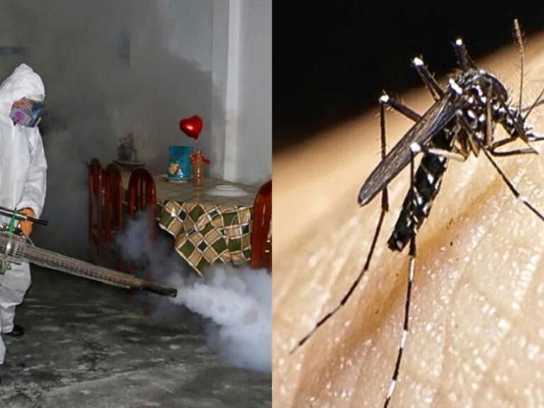 Colegio Médico sobre declaratoria de emergencia por dengue: «No es la solución»
