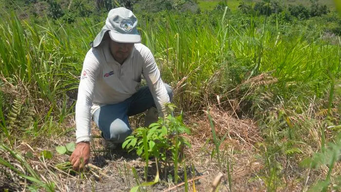 San Martín: Buscan recuperar 3500 hectáreas de suelos degradados