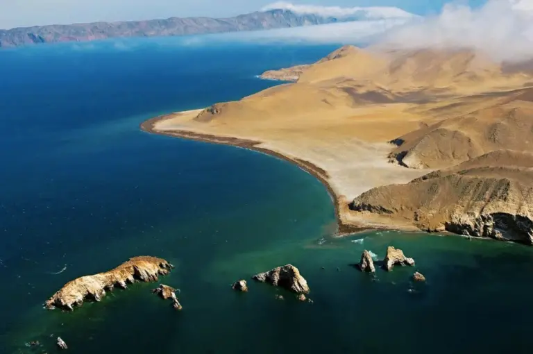 Gremio pesquero insiste operar en la Reserva Nacional de Paracas