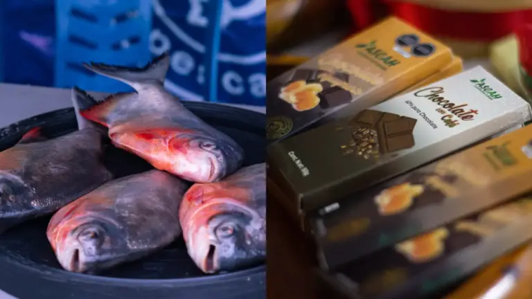 Ucayali: Pobladores de Huipoca dejan cultivo coca por acuicultura y cacao