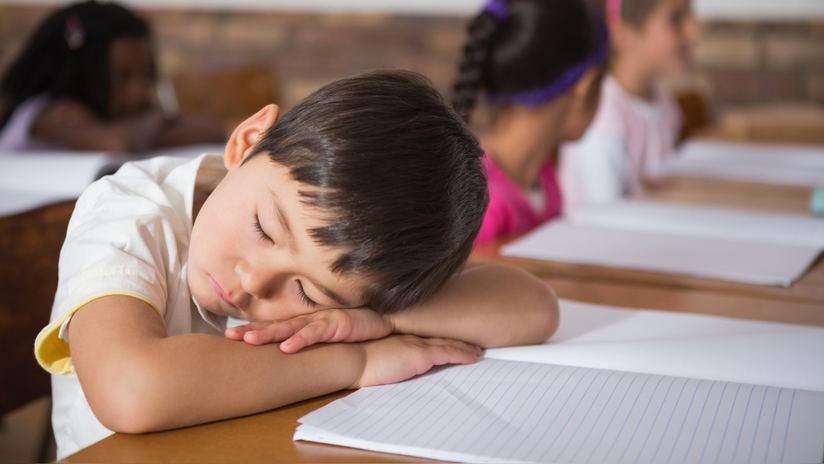 Un regreso a clases libre de anemia: Descubre qué alimentos incluir en la lonchera de tus hijos