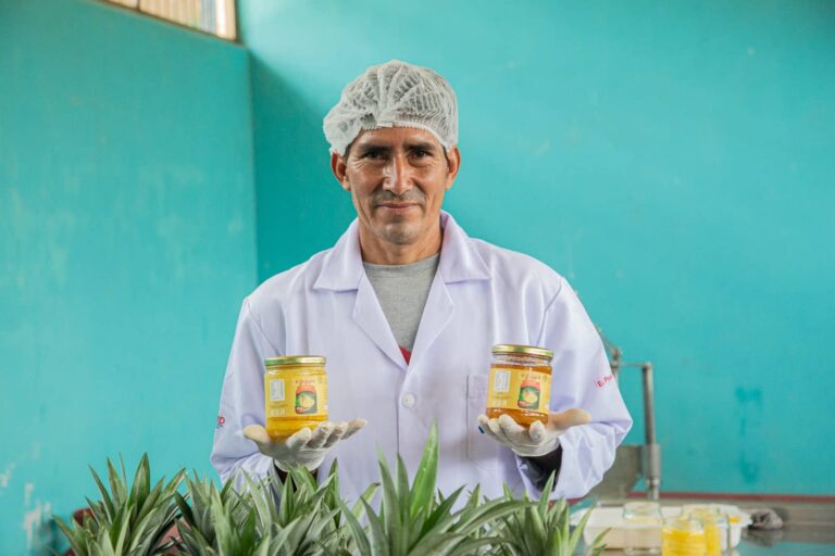 Ucayali: Asociación impulsa el crecimiento de la piña golden en la región