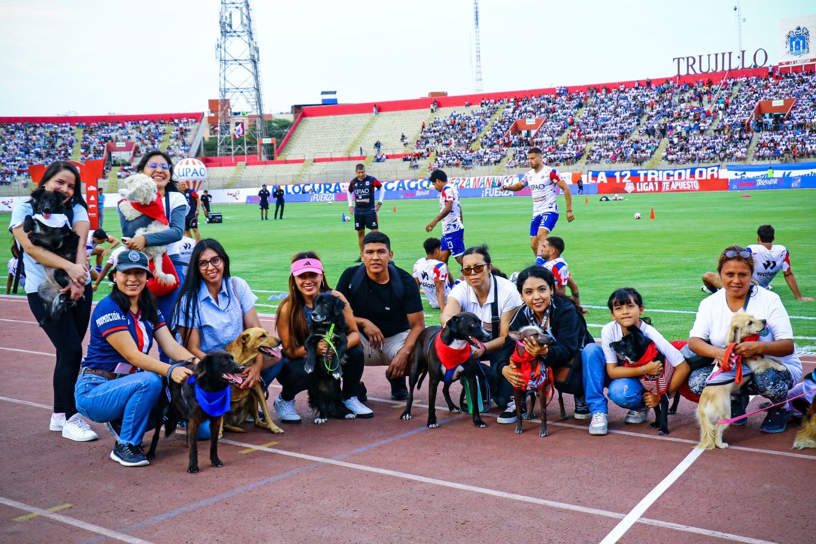 Trujillo: Albergues promueven la adopción de perritos