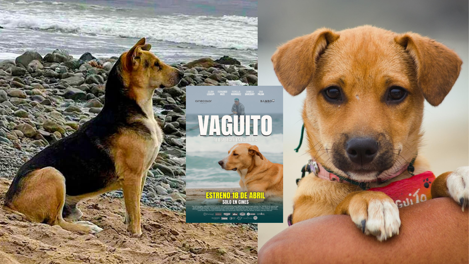 Director de 'Vaguito' piensa en una segunda parte de la película peruana