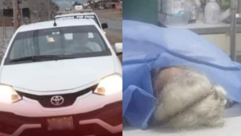 La Libertad: Falsos pasajeros de colectivo asesinan a anciana