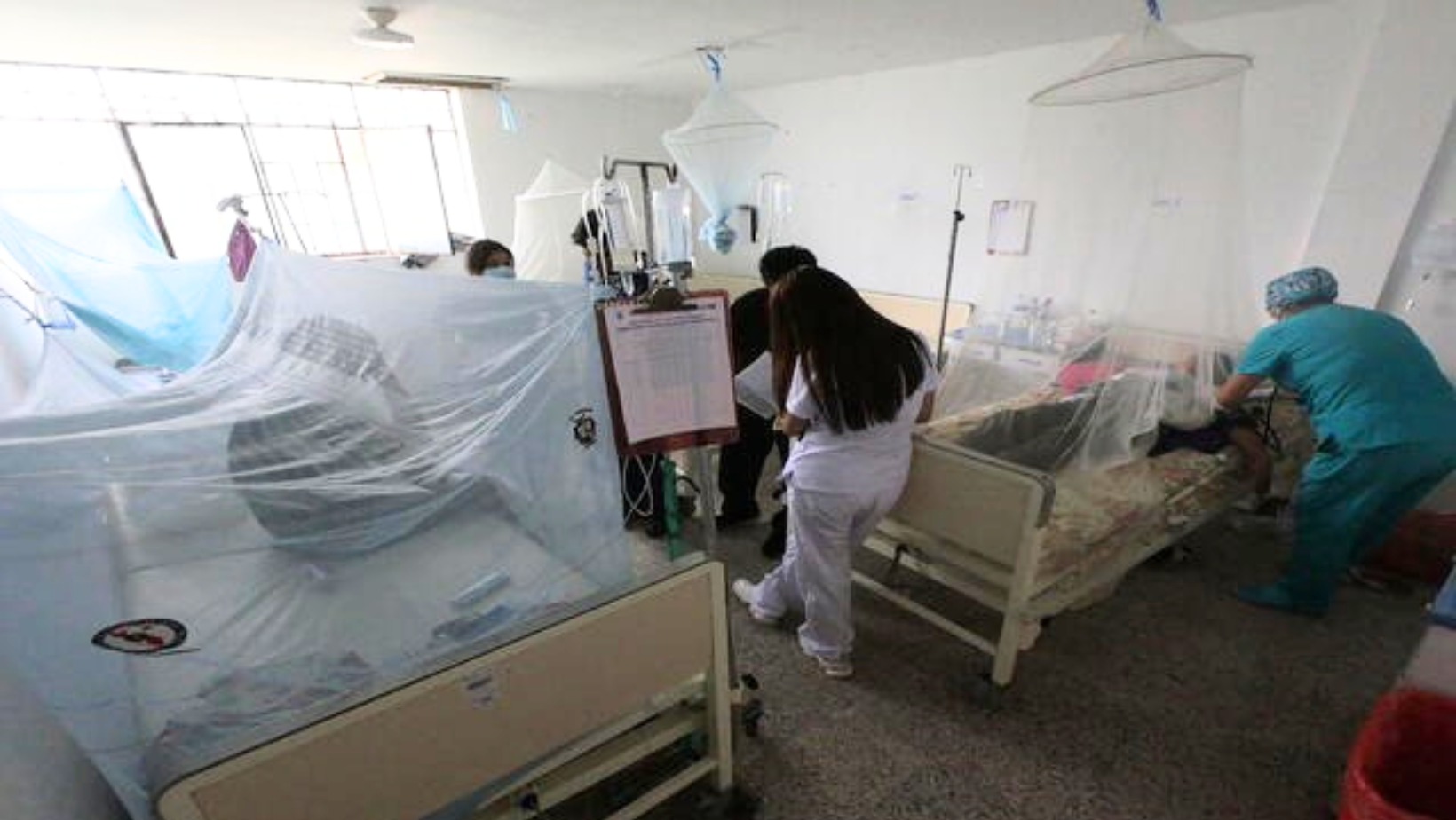 La Libertad: 19 fallecidos por dengue en el primer trimestre del 2024