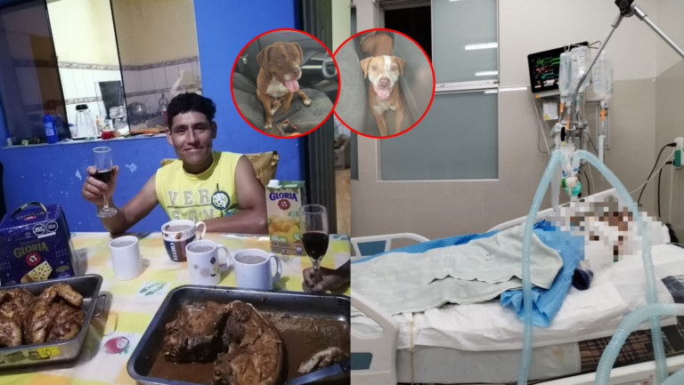 Trujillo: Pitbull ataca a hombre y queda grave en el hospital Regional