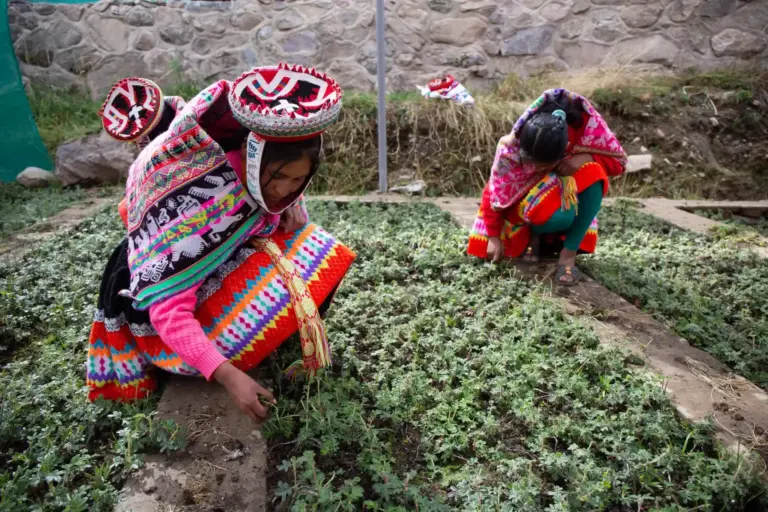 La lucha por la reforestación desde las comunidades en Perú