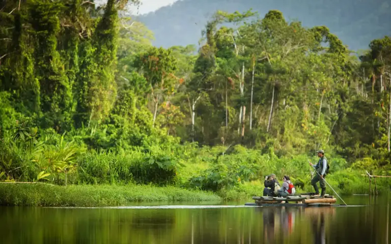 51 años de conservación: El legado del Parque Nacional del Manu