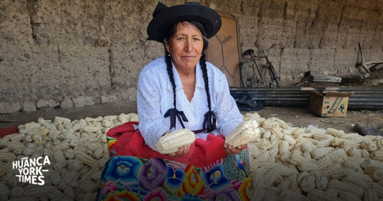 Comuneros de Huayllaspanca harán festival en honor al maíz, su principal producto agrario, en el Día de la Madre