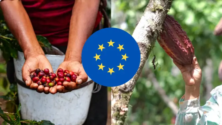 Midagri prevé una prórroga en la aplicación de la norma europea que exige productos libres de deforestación