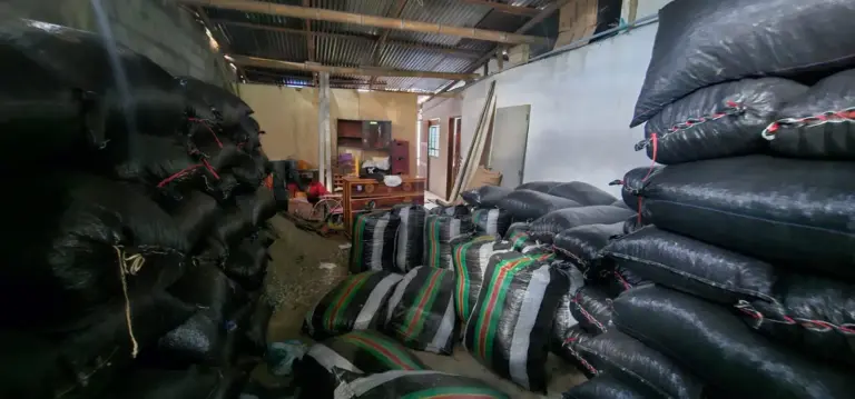 Huánuco: Policía recupera 20 toneladas de cacao robado-