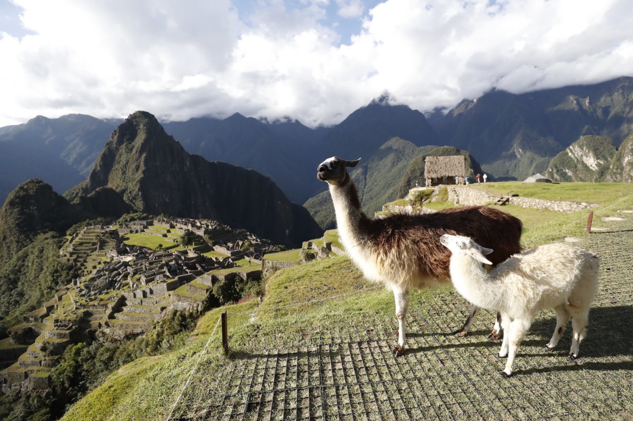 Machupicchu: Ministerio de Cultura aumentó a 5600 el aforo a partir del 1 de junio