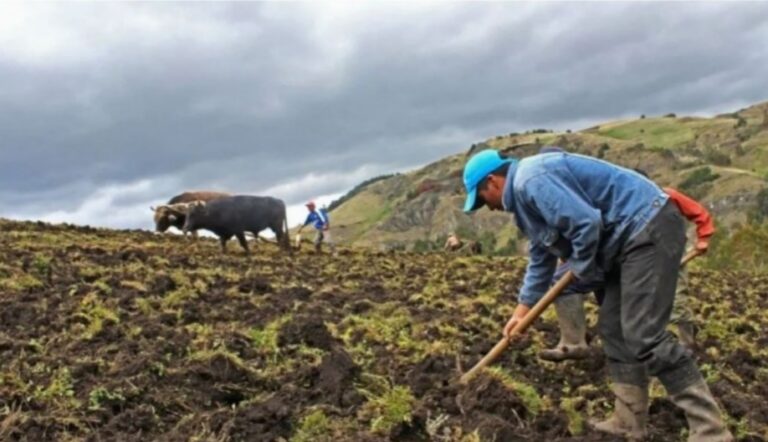Firmarán adenda para la explotación de roca fosfórica en Piura que impulsará la producción local de fertilizantes