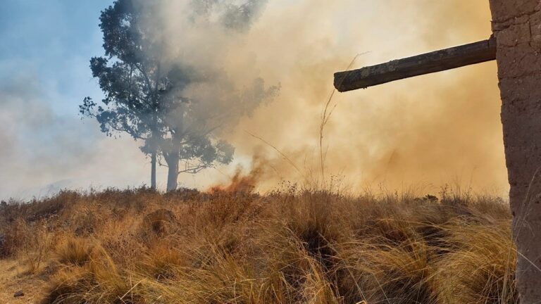 Alerta máxima ante inicio de incendios forestales en la región