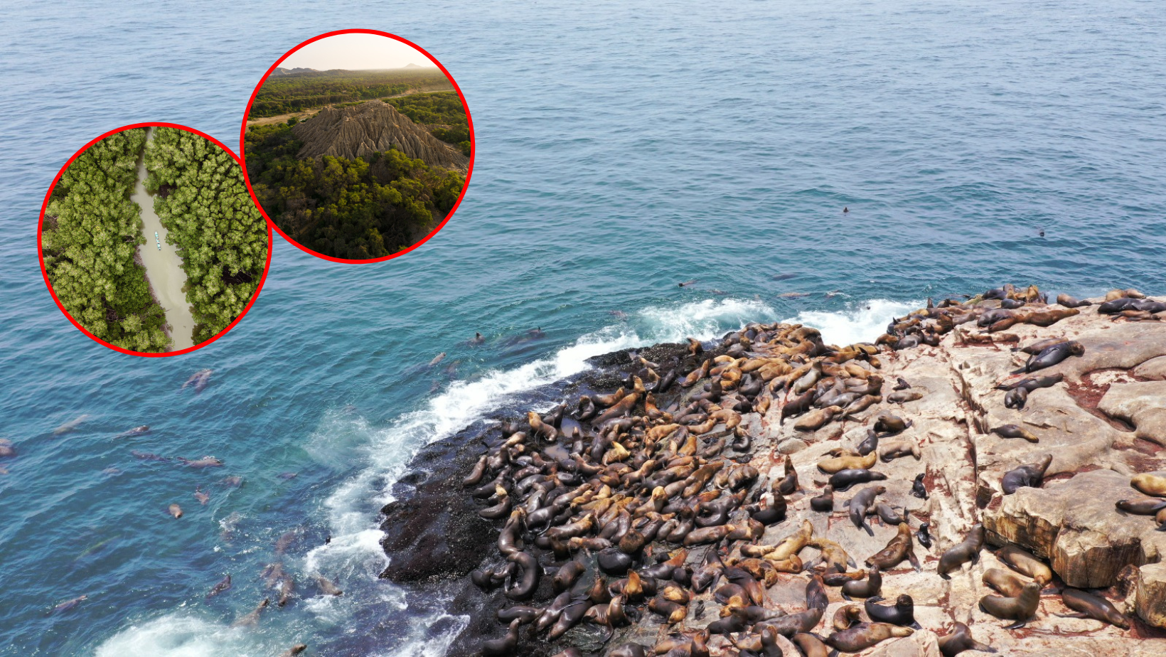 Islas Gañape en La Libertad podrá ser explorada por Fiesta Patrias
